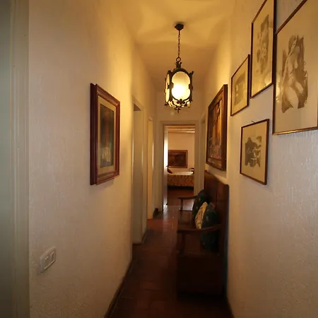 Il Pittore Vetulonia